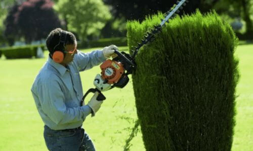 Stihl HS-81 R thermal hedge trimmer review 2